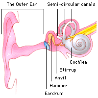 hydrogen peroxide in ear