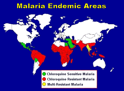 Images For Malaria